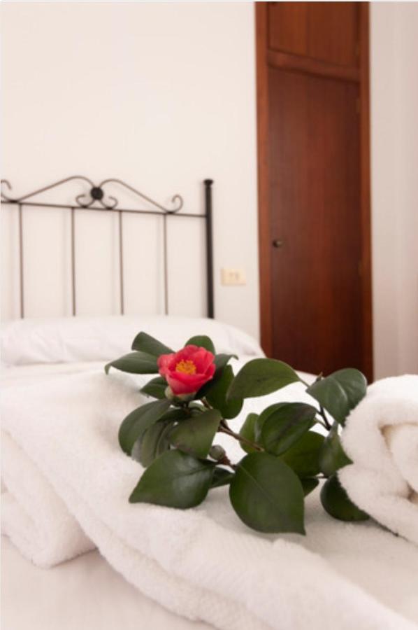 Hostal San Cristobal - Pontedeume Exteriér fotografie