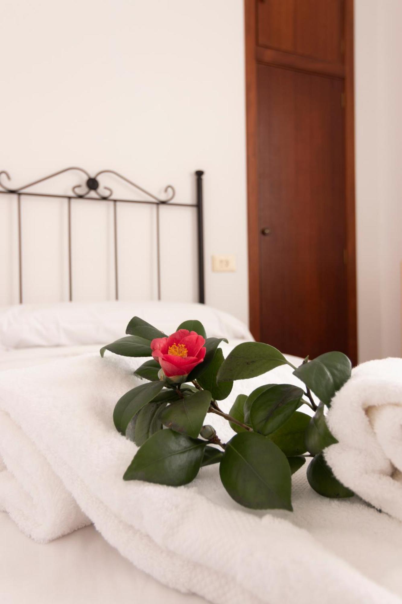 Hostal San Cristobal - Pontedeume Exteriér fotografie